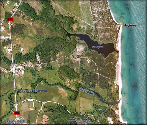 n_01_k_bagheera .jpg